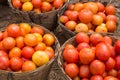 Baskets full of tomatoes at vegetable market India