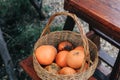 Baskets full of  oranges for sale at the farmer`s market on a bright, sunny morning. Royalty Free Stock Photo