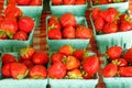 baskets full of red strawberries for sale at farm stand in Spring Royalty Free Stock Photo