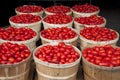 Baskets full of tomatoes