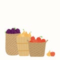 Baskets with grapes, apples, pears