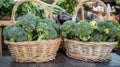 Baskets of green broccoli for sale at a farmer\'s market Royalty Free Stock Photo