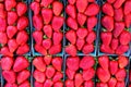 Baskets of ripe strawberries at farmer`s market - overhead Royalty Free Stock Photo