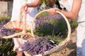 Baskets full of lavender flowers