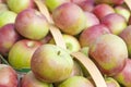 Baskets of Macintosh Apples