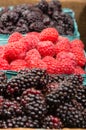 Baskets of Marionberries and Red Raspberries Royalty Free Stock Photo