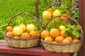 Baskets with oranges Royalty Free Stock Photo