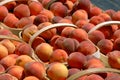 Baskets of Peaches Royalty Free Stock Photo