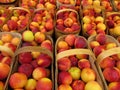 Baskets of peaches Royalty Free Stock Photo