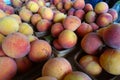 Baskets of Peaches Royalty Free Stock Photo