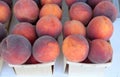 Baskets of Peaches Royalty Free Stock Photo