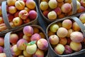 Baskets of Peaches for Sale at a Farmers Market