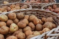 Baskets Of Potatoes On Sale At Local Farmers Market Royalty Free Stock Photo