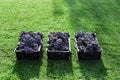 Baskets of Ripe bunches of black grapes outdoors. Autumn grapes harvest in vineyard on grass ready to delivery for wine making. Royalty Free Stock Photo