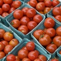 Cherry tomatoes at the farmer`s market Royalty Free Stock Photo