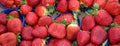 Baskets Ripe red strawberries grown using the techniques of orga