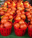 Baskets of Ripe Tomatoes