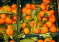Baskets and shelves of tangerines inside a store. display of many small sweet, ripe, orange citrus fruits, ready to be eaten and