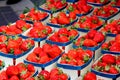 Baskets strawberries Royalty Free Stock Photo