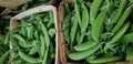 Baskets of Sweet pea pods