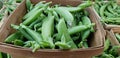 Baskets of Sweet pea pods