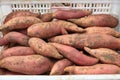 Baskets of sweet potatoes in the fields Royalty Free Stock Photo