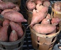 Baskets of Sweet Potatoes