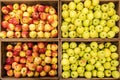 Baskets with sweet red and yellow apples in the mall