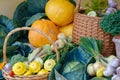 Baskets and vegetables on agricultural market Royalty Free Stock Photo