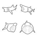Basking Shark Animal Vector Illustration Hand Drawn Cartoon Art