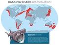 Basking shark distribution