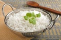 Basmati Rice with Coriander Leaf Royalty Free Stock Photo