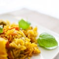 Basmati rice with vegetables and chicken Royalty Free Stock Photo