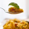 Basmati rice with vegetables and chicken Royalty Free Stock Photo