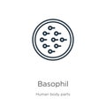 Basophil icon. Thin linear basophil outline icon isolated on white background from human body parts collection. Line vector