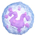 Basophil