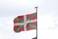 Basque country flag, with a sea gull on the pole.