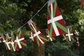 Basque country flags. Royalty Free Stock Photo