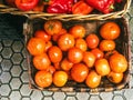 A basquet of ecological tomatoes Royalty Free Stock Photo