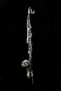 Bass Clarinet 002 Royalty Free Stock Photo