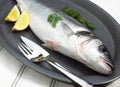 Bass, dicentrarchus labrax, Fresh Fish on Plate with Persley and Lemon