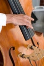 Bass Fiddle Player Royalty Free Stock Photo
