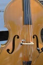 Bass Fiddle Royalty Free Stock Photo