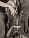 Bass Fiddle Strumming Royalty Free Stock Photo