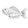 Bass Fish Vector Illustration For Coloring Pages