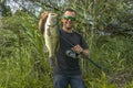 Bass fishing. Big bass fish in hands of pleased fisherman with spinning rod. Largemouth perch at pond