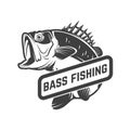 Bass fishing club. Emblem template with perch. Design element for logo, label, sign, poster. Royalty Free Stock Photo