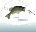 Bass fishing Royalty Free Stock Photo