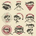 Bass fishing labels. Perch fish. Emblems templates for fishing c