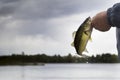 Bass Fishing in Northern Minnesota